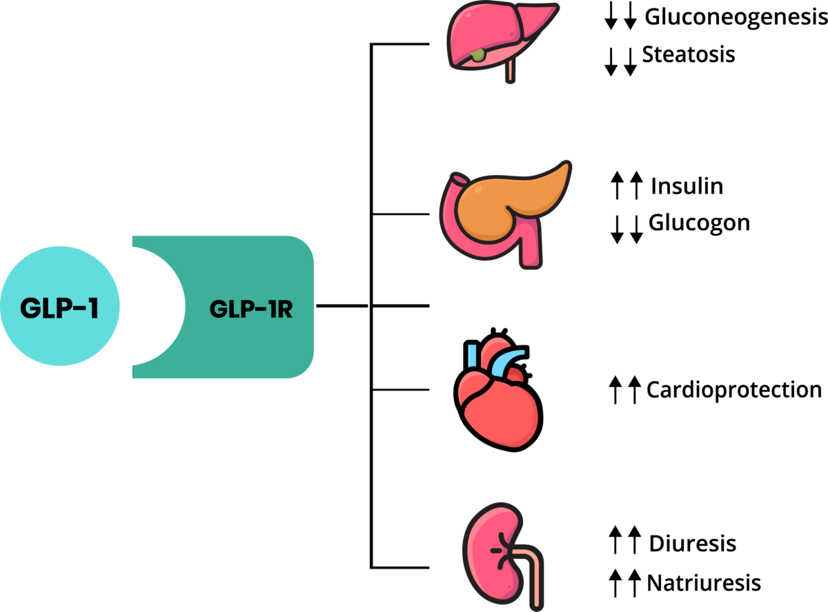 Group Starts For GLP-1 RA Therapies - IDEAL Diabetes